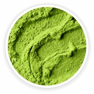 Fucoidan-from-Laminaria-Japonica