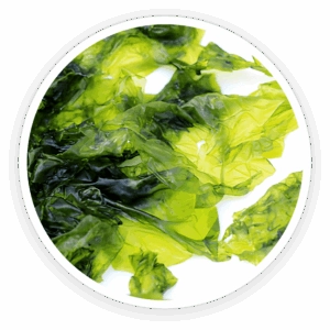 Fucoxanthin-from-Laminaria-Japonica