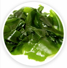 Wakame Extract