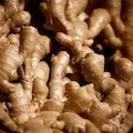 Wild Vietnamese Ginger Extract
