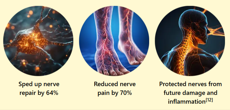 Benefits of Nerve Armor
