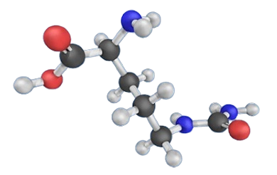 CircO2 Ingredient -L-Citrulline