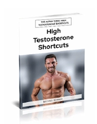 High Testosterone Shortcuts