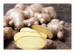 Himalayan Mountain Ginger