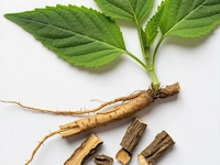 MenForceX - Horny Goat Weed