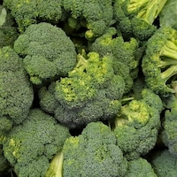 XenBurn-Calcium Carbonate