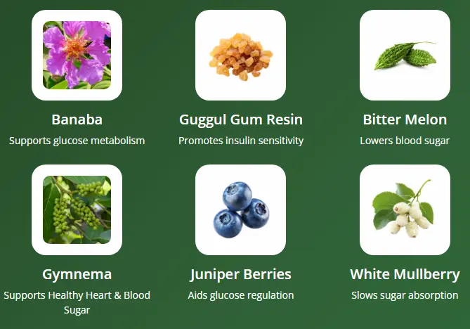 RegenVive Ingredients